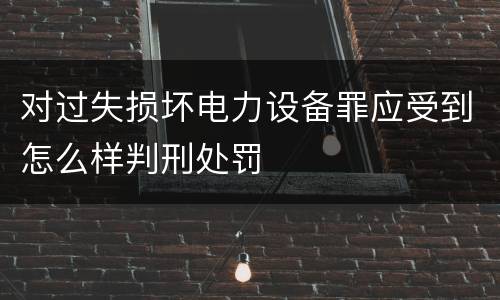 对过失损坏电力设备罪应受到怎么样判刑处罚