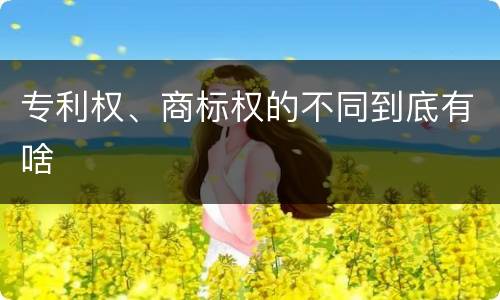 专利权、商标权的不同到底有啥