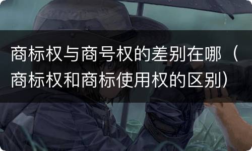 商标权与商号权的差别在哪（商标权和商标使用权的区别）