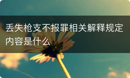 丢失枪支不报罪相关解释规定内容是什么