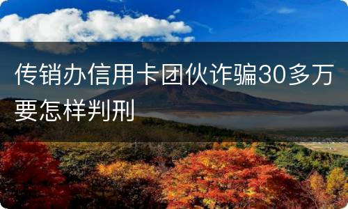 传销办信用卡团伙诈骗30多万要怎样判刑