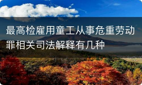 最高检雇用童工从事危重劳动罪相关司法解释有几种