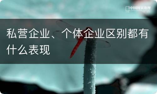 私营企业、个体企业区别都有什么表现