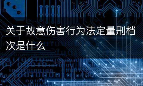 关于故意伤害行为法定量刑档次是什么