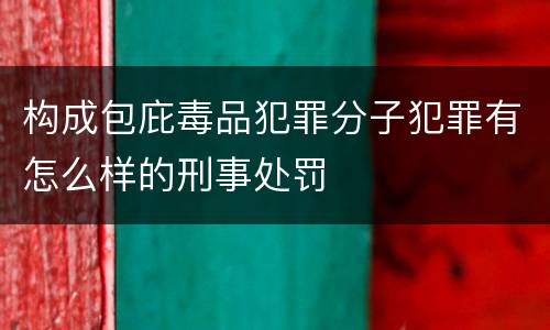 构成包庇毒品犯罪分子犯罪有怎么样的刑事处罚