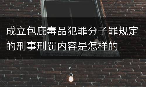 成立包庇毒品犯罪分子罪规定的刑事刑罚内容是怎样的