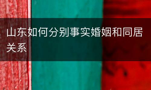 山东如何分别事实婚姻和同居关系