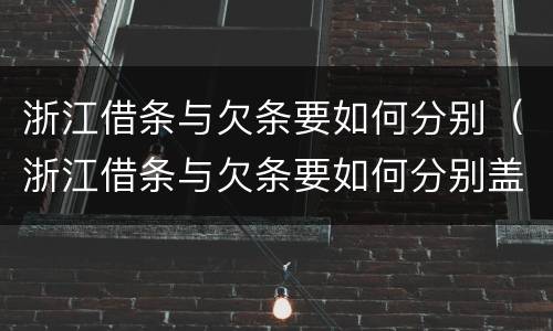 浙江借条与欠条要如何分别（浙江借条与欠条要如何分别盖章）