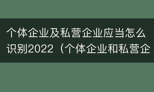 个体企业及私营企业应当怎么识别2022（个体企业和私营企业）