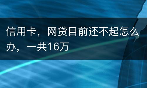 信用卡，网贷目前还不起怎么办，一共16万