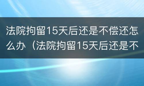 法院拘留15天后还是不偿还怎么办（法院拘留15天后还是不偿还怎么办呢）