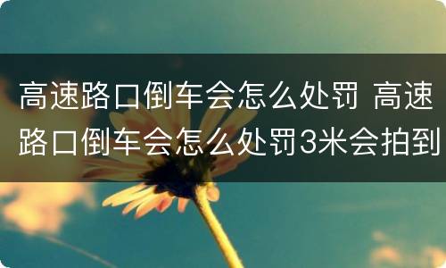 高速路口倒车会怎么处罚 高速路口倒车会怎么处罚3米会拍到吗?