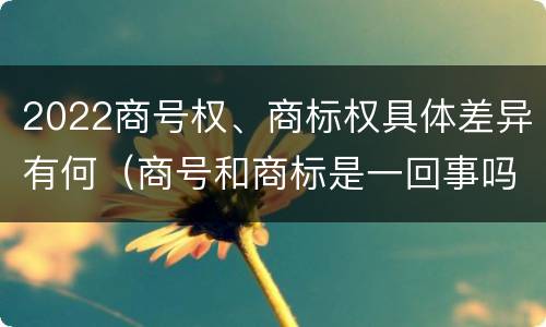 2022商号权、商标权具体差异有何（商号和商标是一回事吗）