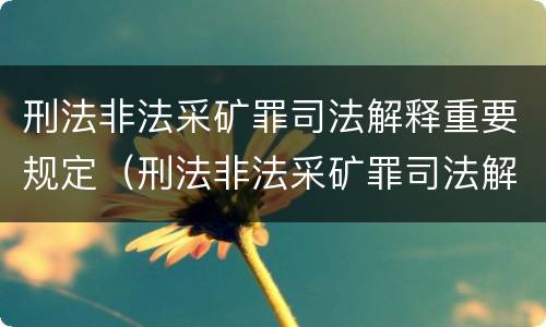 刑法非法采矿罪司法解释重要规定（刑法非法采矿罪司法解释重要规定有哪些）