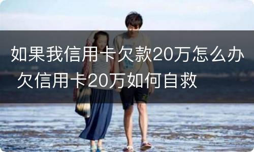 如果我信用卡欠款20万怎么办 欠信用卡20万如何自救