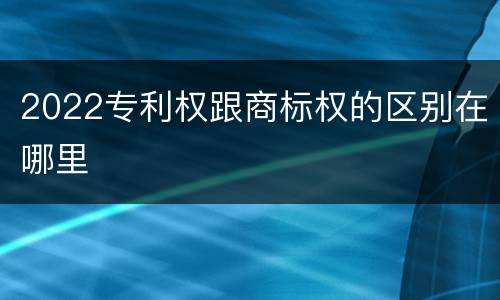 2022专利权跟商标权的区别在哪里