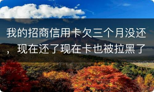 我的招商信用卡欠三个月没还，现在还了现在卡也被拉黑了还能办吗