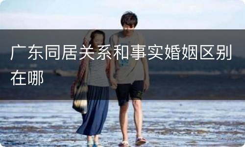 广东同居关系和事实婚姻区别在哪