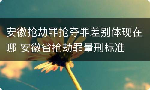 安徽抢劫罪抢夺罪差别体现在哪 安徽省抢劫罪量刑标准