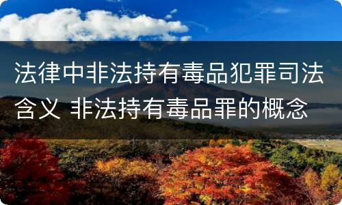 法律中非法持有毒品犯罪司法含义 非法持有毒品罪的概念