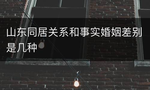 山东同居关系和事实婚姻差别是几种