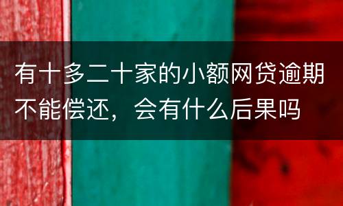 有十多二十家的小额网贷逾期不能偿还，会有什么后果吗