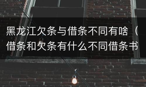 黑龙江欠条与借条不同有啥（借条和欠条有什么不同借条书写）