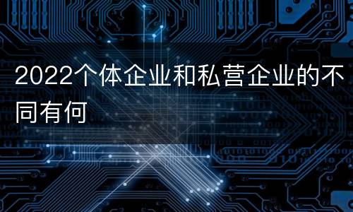 2022个体企业和私营企业的不同有何