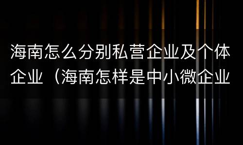 海南怎么分别私营企业及个体企业（海南怎样是中小微企业怎么划分）