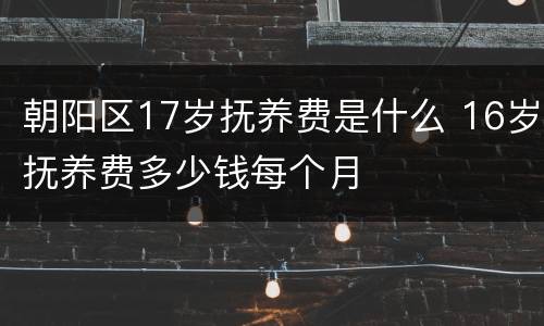 朝阳区17岁抚养费是什么 16岁抚养费多少钱每个月