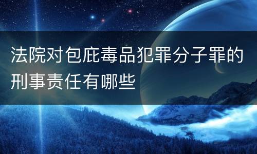 法院对包庇毒品犯罪分子罪的刑事责任有哪些