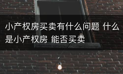 小产权房买卖有什么问题 什么是小产权房 能否买卖