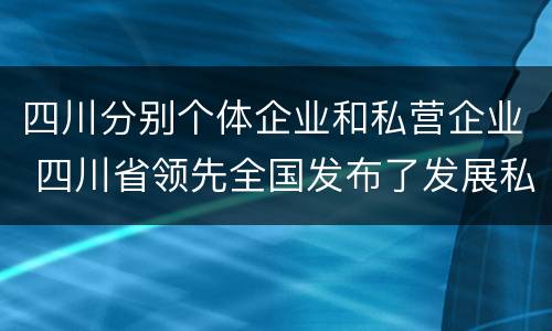 四川分别个体企业和私营企业 四川省领先全国发布了发展私营经济