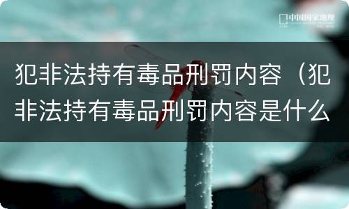 犯非法持有毒品刑罚内容（犯非法持有毒品刑罚内容是什么）