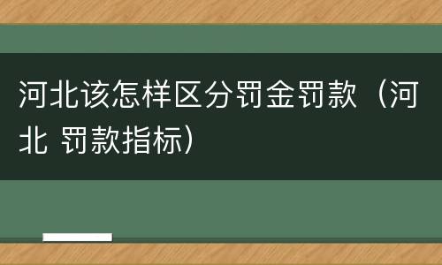 河北该怎样区分罚金罚款（河北 罚款指标）