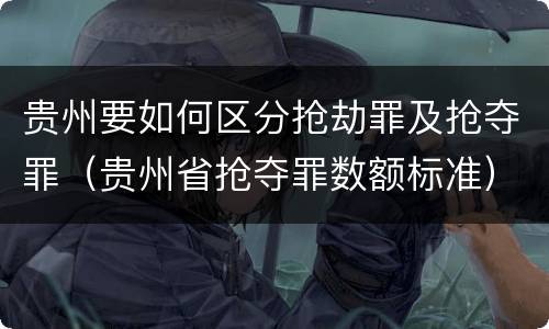 贵州要如何区分抢劫罪及抢夺罪（贵州省抢夺罪数额标准）