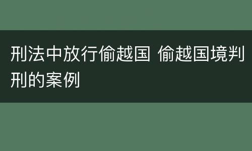 刑法中放行偷越国 偷越国境判刑的案例