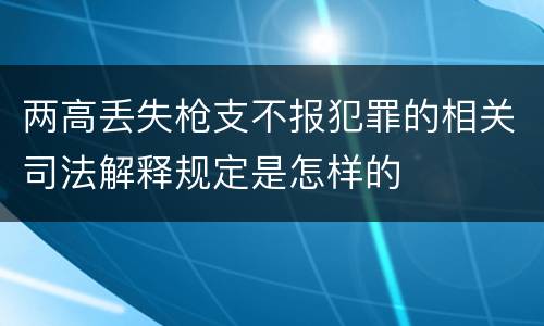 两高丢失枪支不报犯罪的相关司法解释规定是怎样的