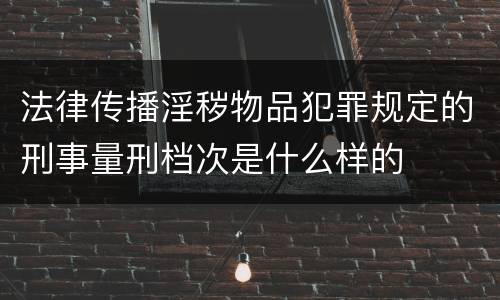 法律传播淫秽物品犯罪规定的刑事量刑档次是什么样的