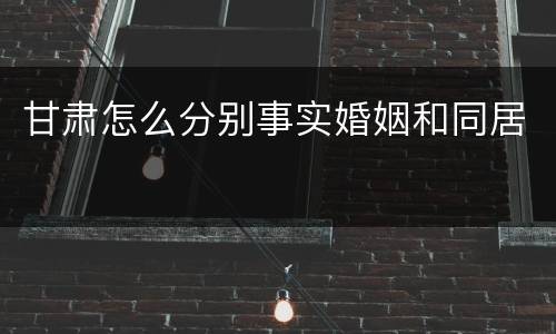 甘肃怎么分别事实婚姻和同居