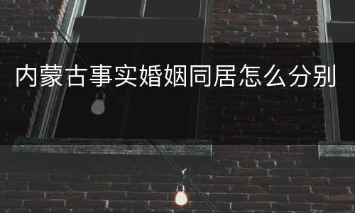 内蒙古事实婚姻同居怎么分别