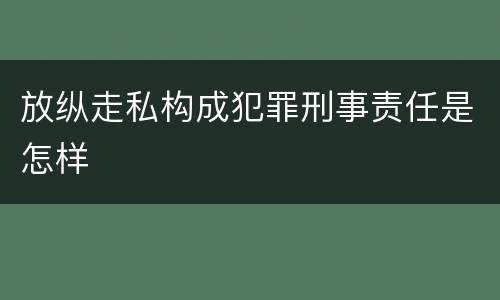 放纵走私构成犯罪刑事责任是怎样