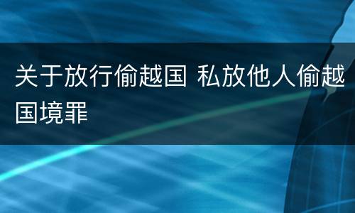 关于放行偷越国 私放他人偷越国境罪