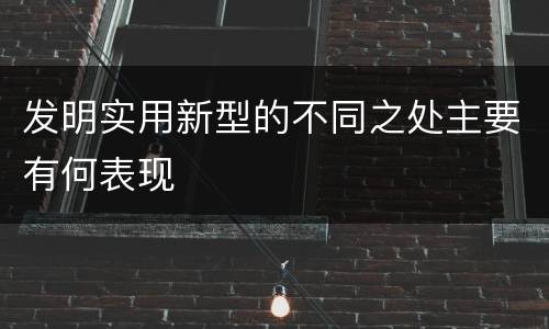 发明实用新型的不同之处主要有何表现