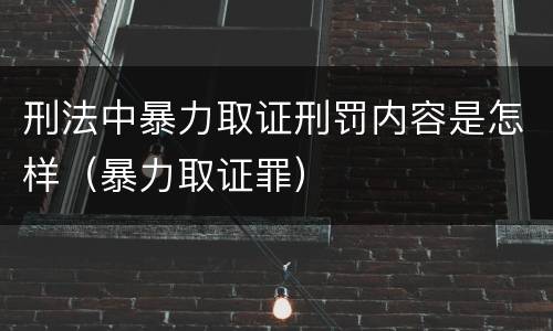 刑法中暴力取证刑罚内容是怎样（暴力取证罪）