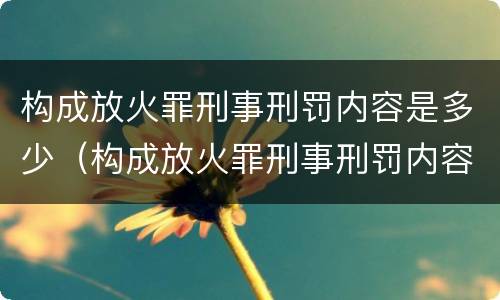 构成放火罪刑事刑罚内容是多少（构成放火罪刑事刑罚内容是多少条规定）