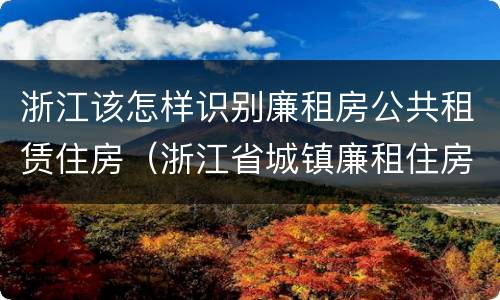 浙江该怎样识别廉租房公共租赁住房（浙江省城镇廉租住房保障办法）