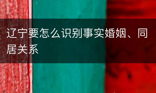 辽宁要怎么识别事实婚姻、同居关系