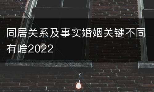 同居关系及事实婚姻关键不同有啥2022