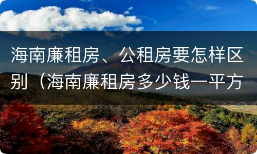 海南廉租房、公租房要怎样区别（海南廉租房多少钱一平方）